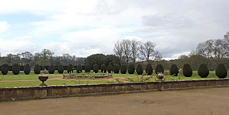 36 Lily Pond